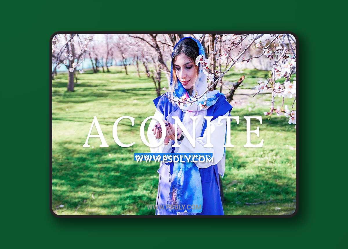 CreativeMarket - Aconite Pro Lightroom Presets 7174293 1 CreativeMarket - Aconite Pro Lightroom Presets 7174293