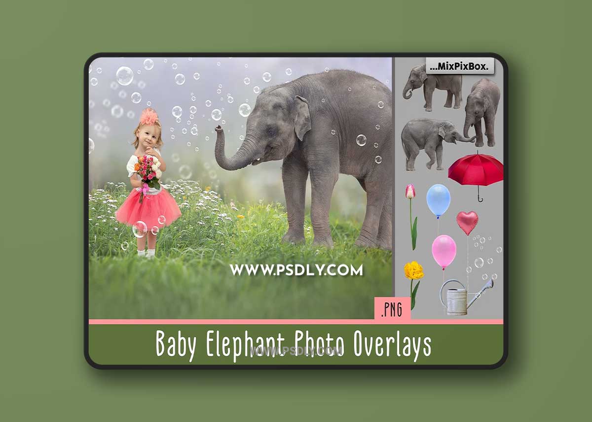 CreativeMarket - Baby Elephant Photo Overlays 5069631 1 CreativeMarket - Baby Elephant Photo Overlays 5069631