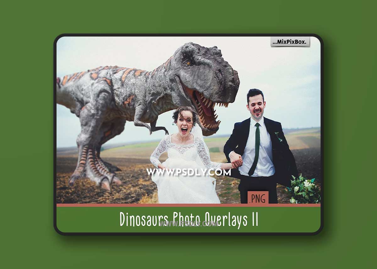CreativeMarket - Dinosaur v.2 overlays 4044703 1 CreativeMarket - Dinosaur v.2 overlays 4044703