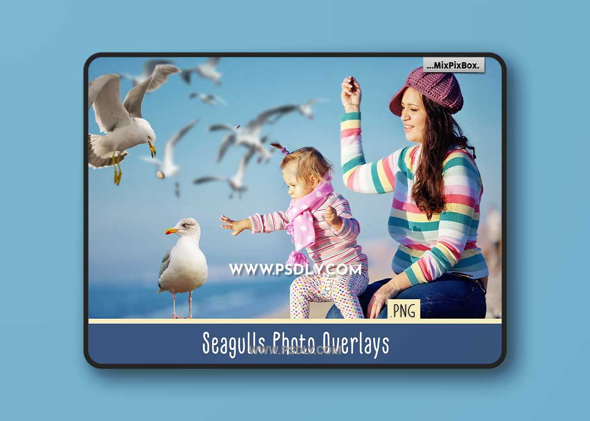 CreativeMarket - Seagulls Overlays 4085794 1 CreativeMarket - Seagulls Overlays 4085794