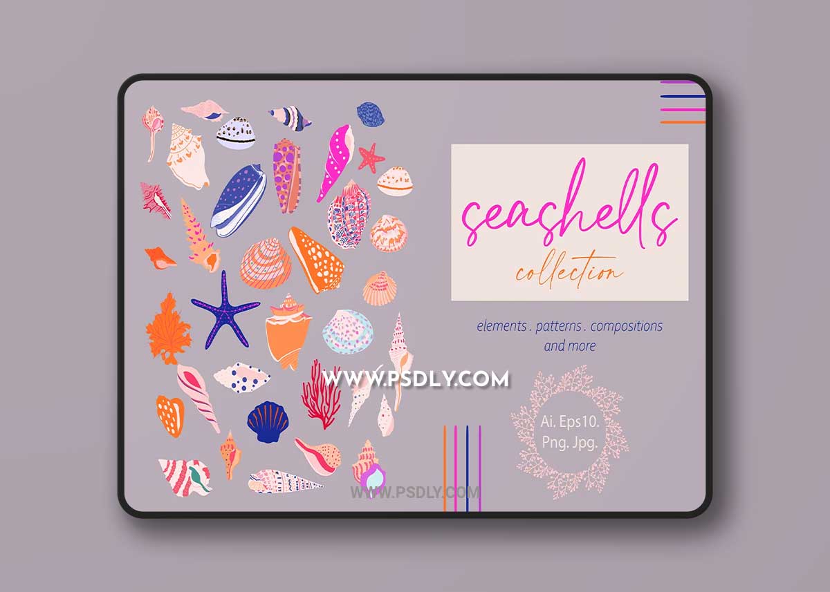 CreativeMarket - Seashells Collection 5962683 1 CreativeMarket - Seashells Collection 5962683