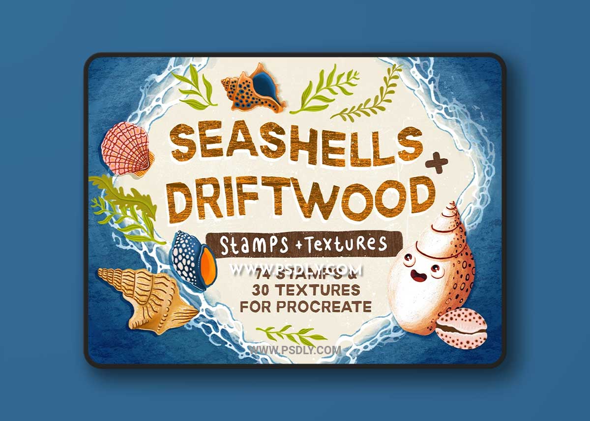 CreativeMarket - Seashells + Driftwood Procreate Set 6462824 1 CreativeMarket - Seashells + Driftwood Procreate Set 6462824