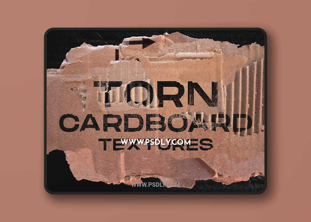 CreativeMarket - Torn cardboard textures 6115430 1 CreativeMarket - Torn cardboard textures 6115430
