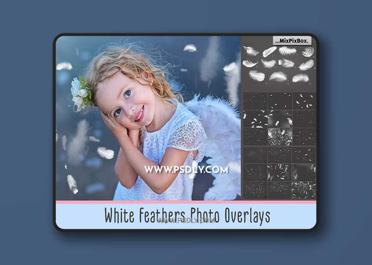 CreativeMarket - White Feathers Overlays 2982738 1 CreativeMarket - White Feathers Overlays 2982738