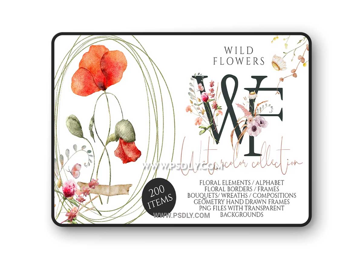 CreativeMarket - Wild Flowers watercolor collection 7113962 1 CreativeMarket---Wild-Flowers-watercolor-collection-7113962