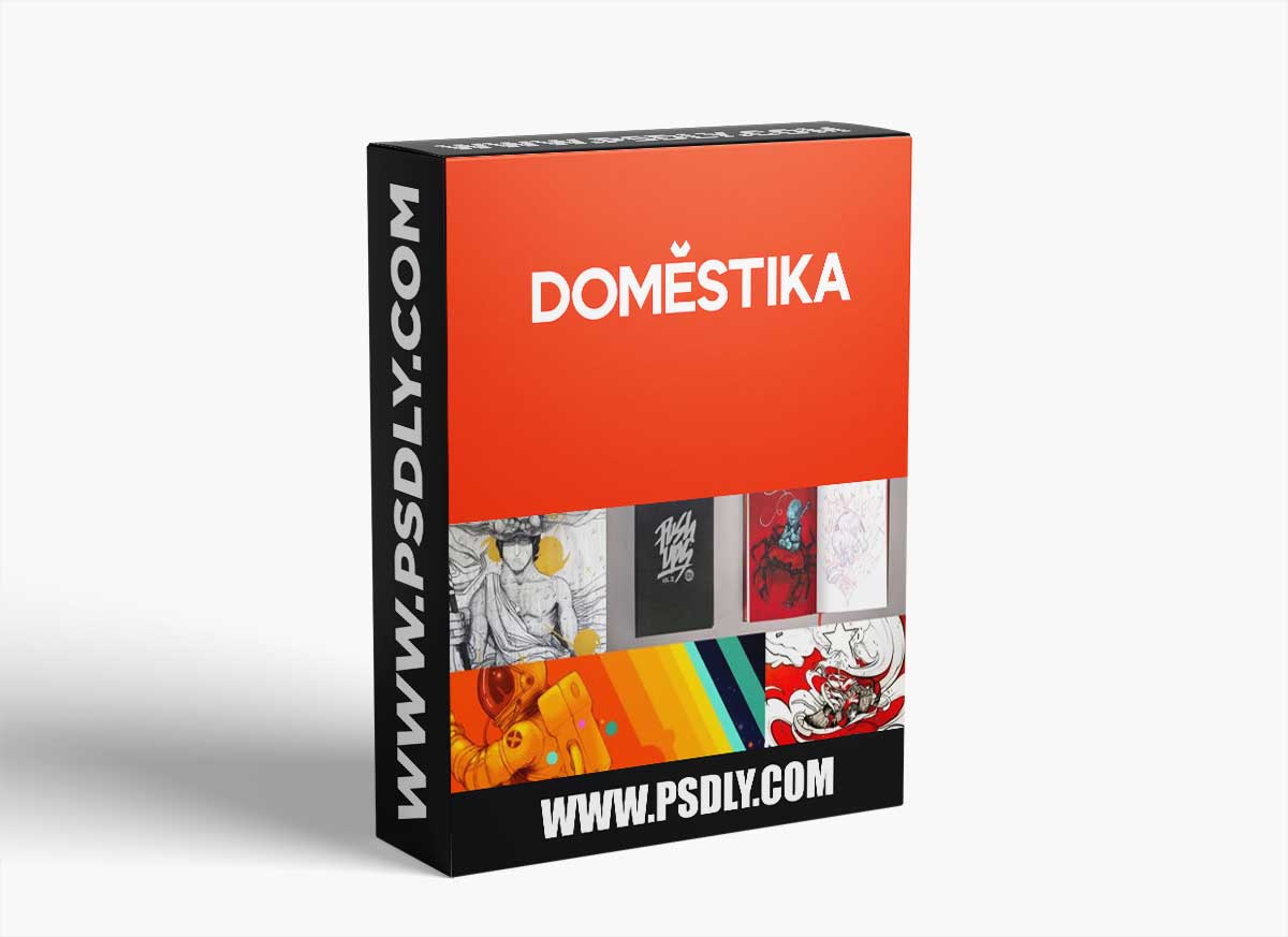 Domestika - Artist's Sketchbook for Illustration Projects 1 Domestika - Artist's Sketchbook for Illustration Projects