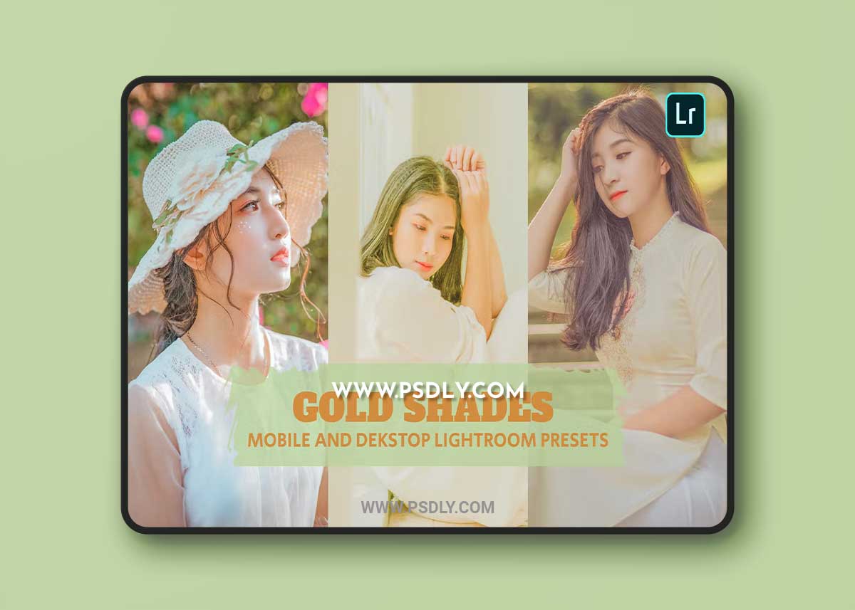 Gold Shades Lightroom Presets Dekstop and Mobile 1 Gold Shades Lightroom Presets Dekstop and Mobile