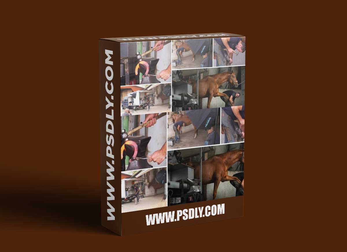 Karl Taylor - Environmental Portraits: Farrier 1 Karl Taylor - Environmental Portraits: Farrier