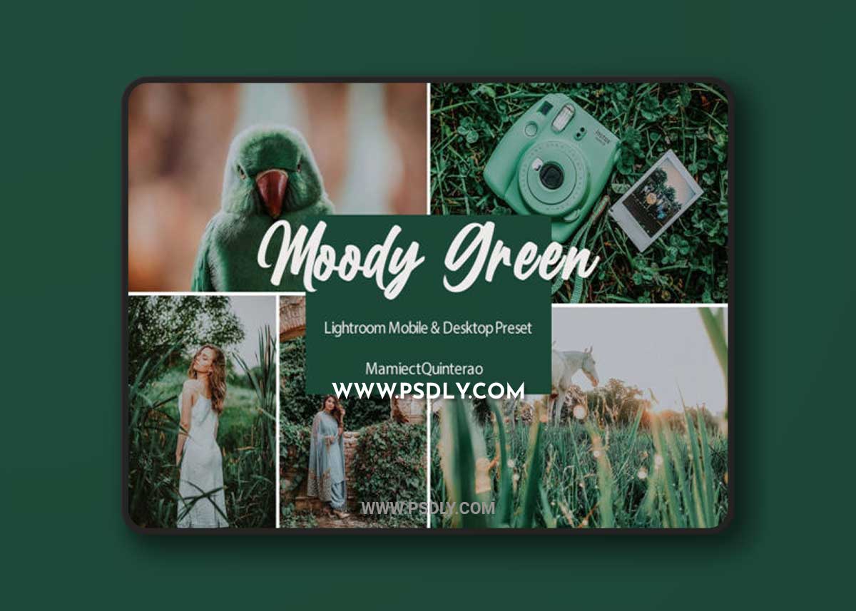 Moody Green Lightroom Presets Graphic 1 Moody Green Lightroom Presets Graphic