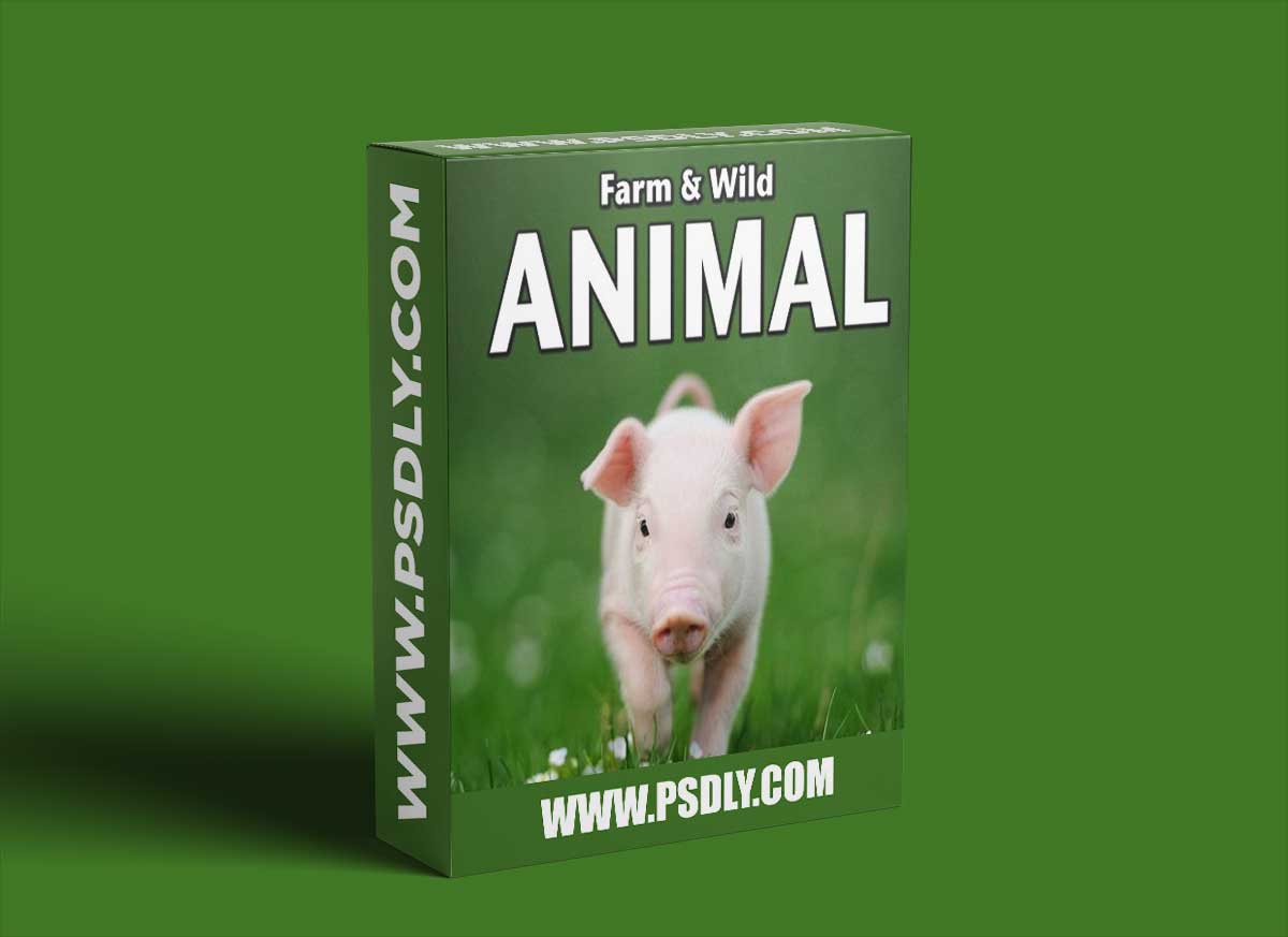 Sound Ideas Farm & Wild Animal Sound Effects FLAC 1 Sound Ideas Farm & Wild Animal Sound Effects FLAC