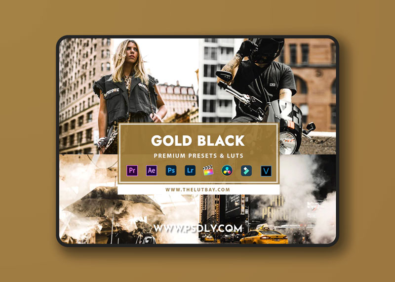 Thelutbay - GOLD BLACK 1 Thelutbay GOLD BLACK