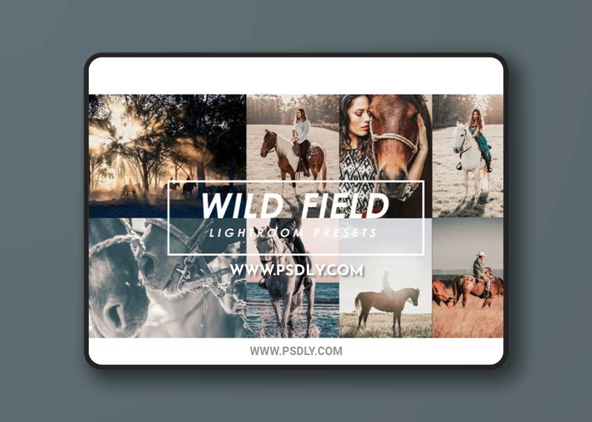WILD FIELD PRESETS 1 WILD FIELD PRESETS