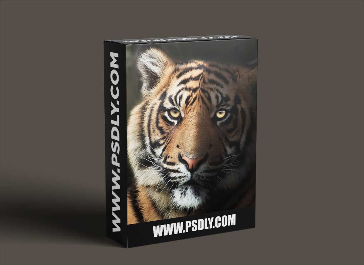 Zenja Gammer - Mastering Lighting - Photoshop Tutorial 1 Zenja Gammer - Mastering Lighting - Photoshop Tutorial