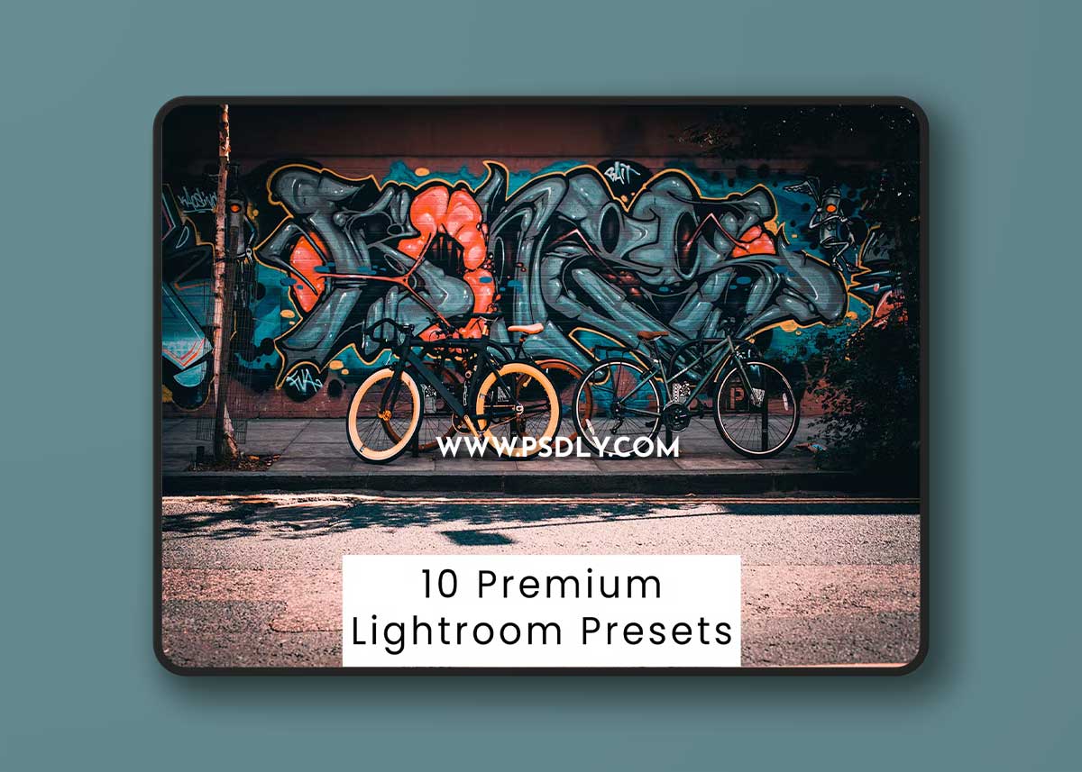 10 Premium Lightroom Presets 1 10 Premium Lightroom Presets