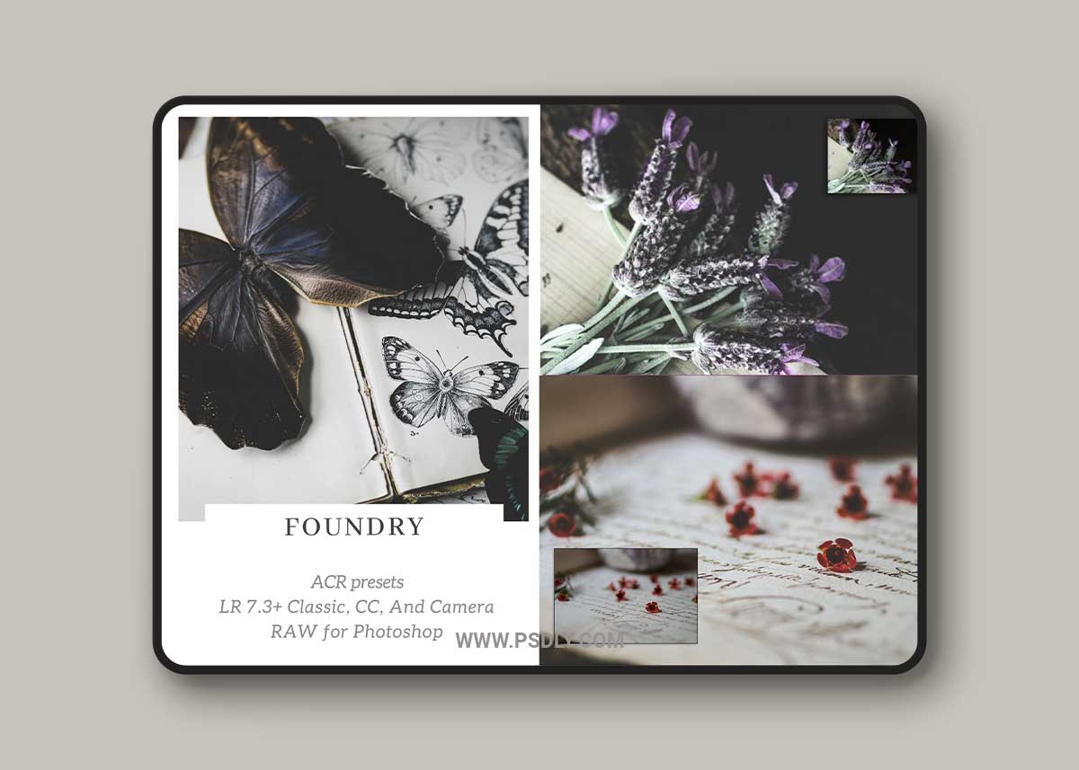 2 Lil Owls: Foundry LR presets 1 2 Lil Owls Foundry LR presets