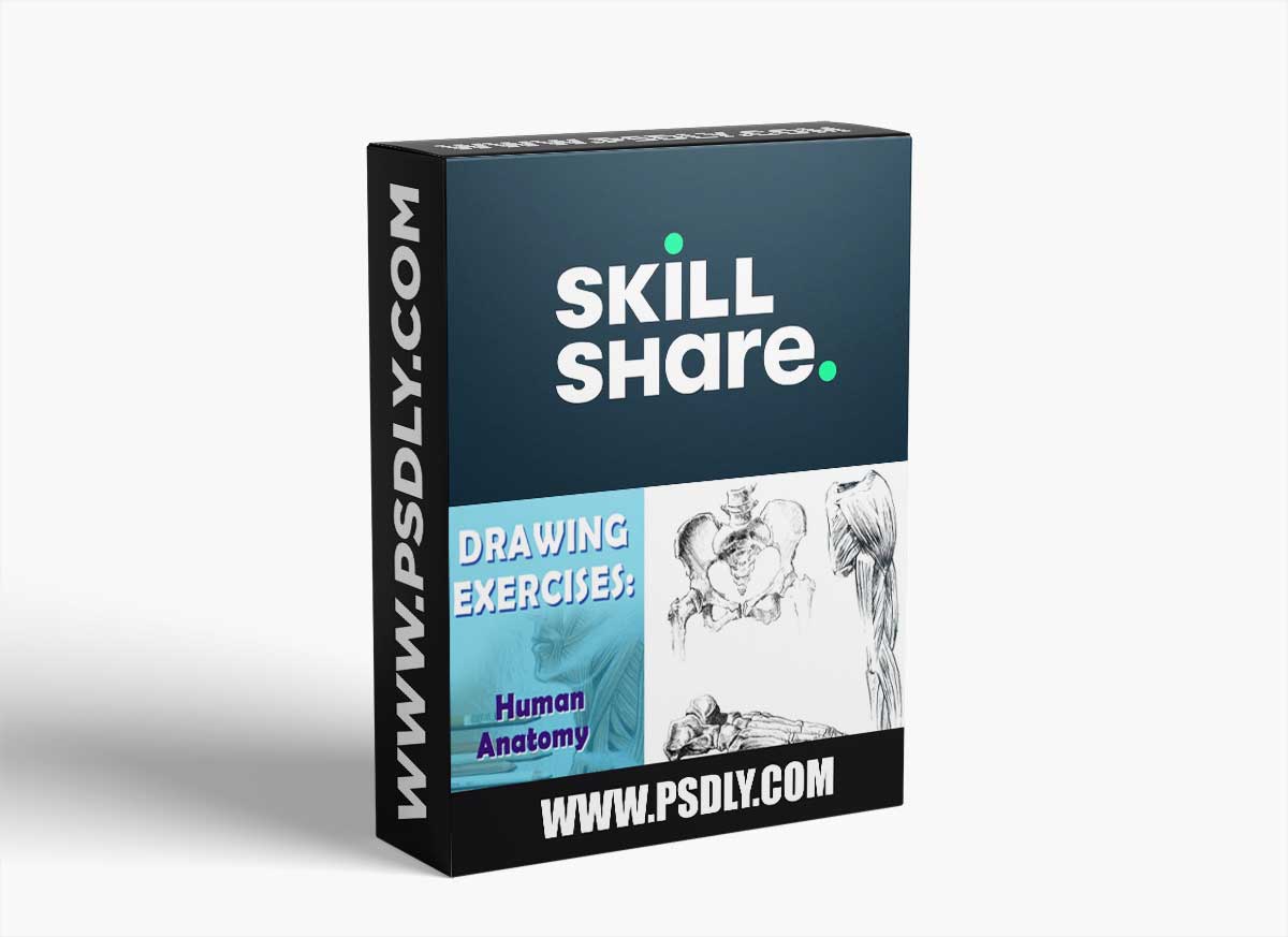 3 exercises that will help you to draw human anatomy 1 3 exercises that will help you to draw human anatomy