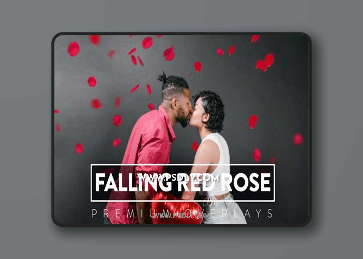 30 Falling Red Rose Overlay 1 30 Falling Red Rose Overlay
