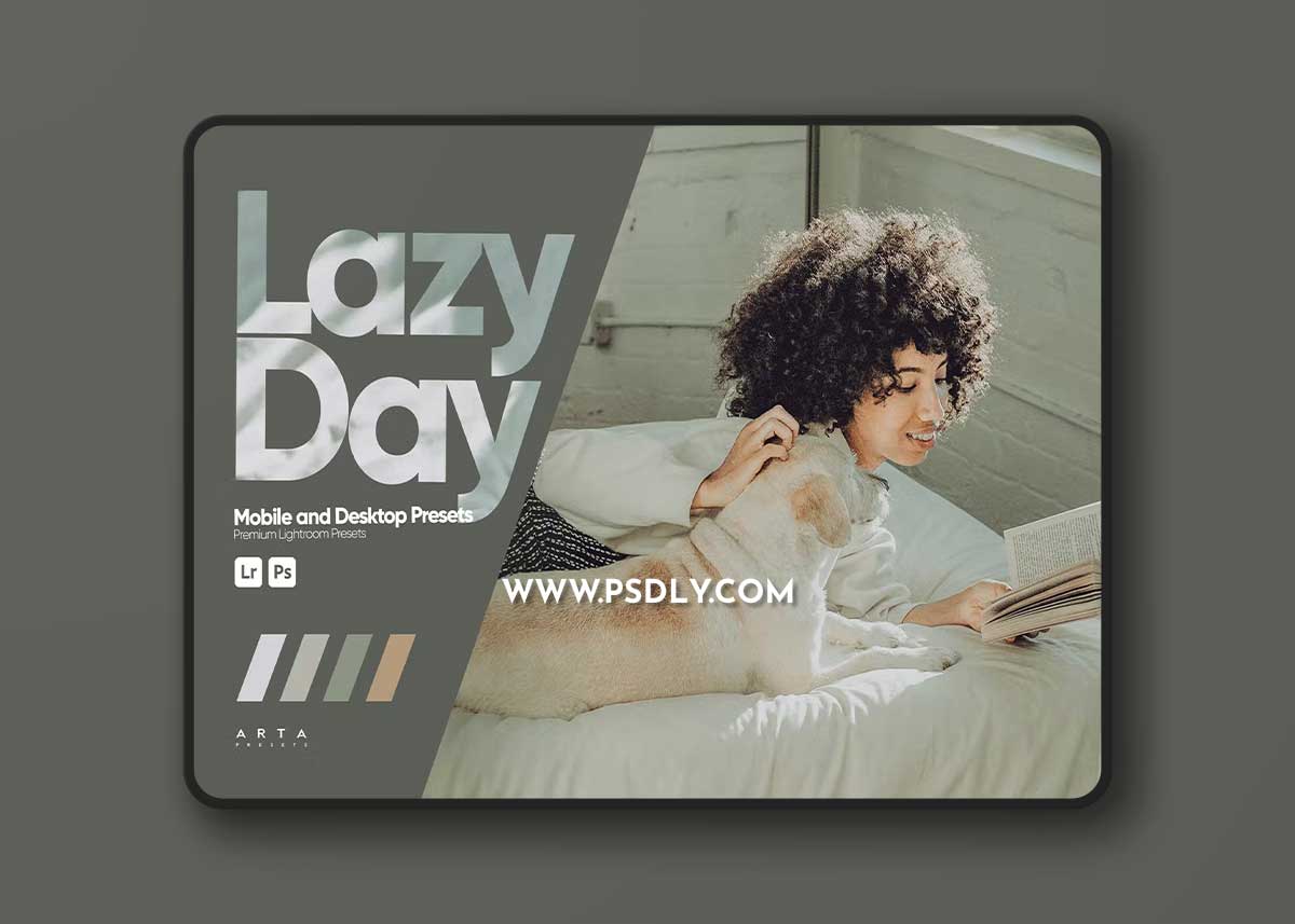 ARTA - Lazy Day Presets for Lightroom 1 ARTA - Lazy Day Presets for Lightroom