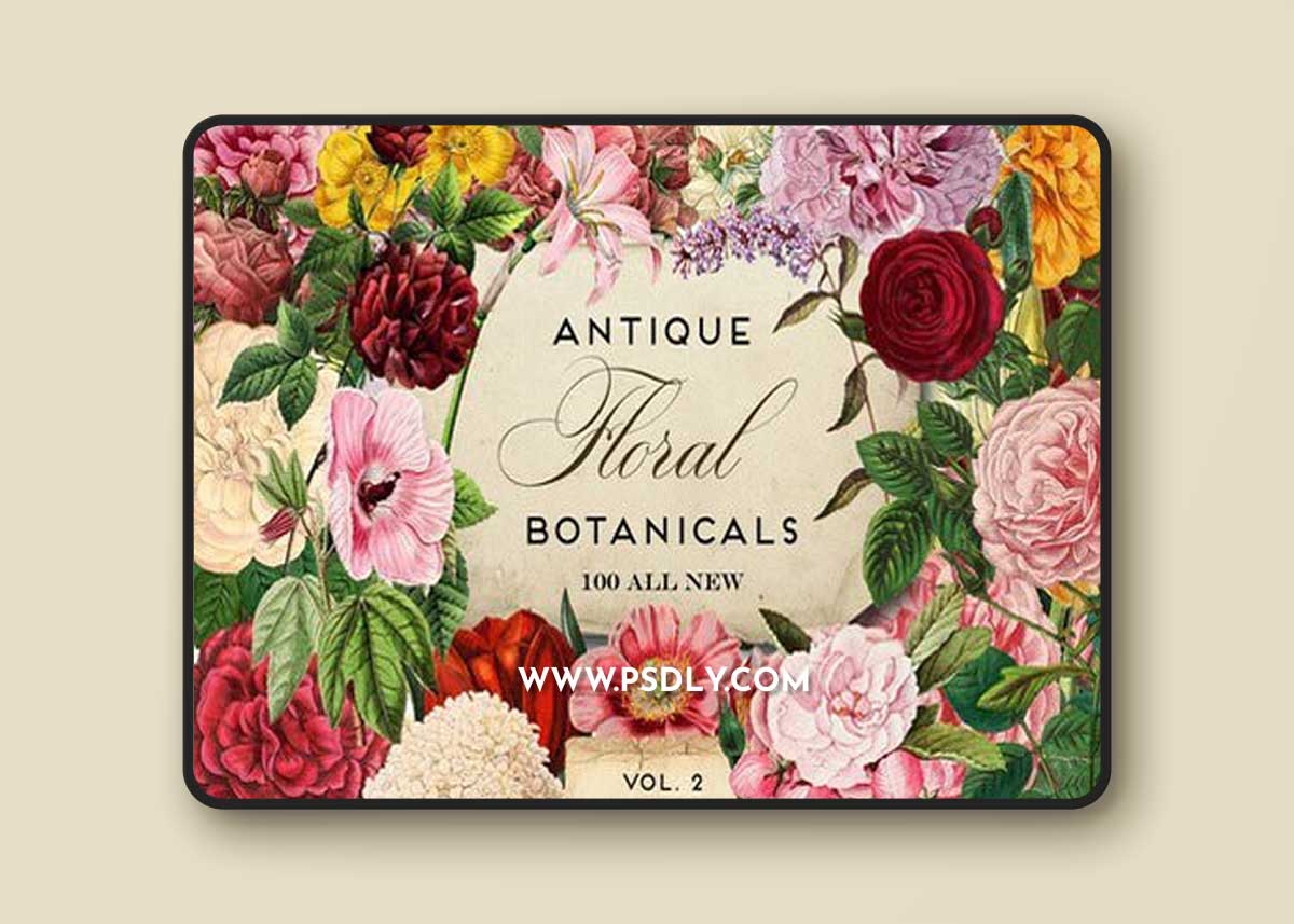 Antique Botanical Floral Graphics 2 1 Antique Botanical Floral Graphics 2