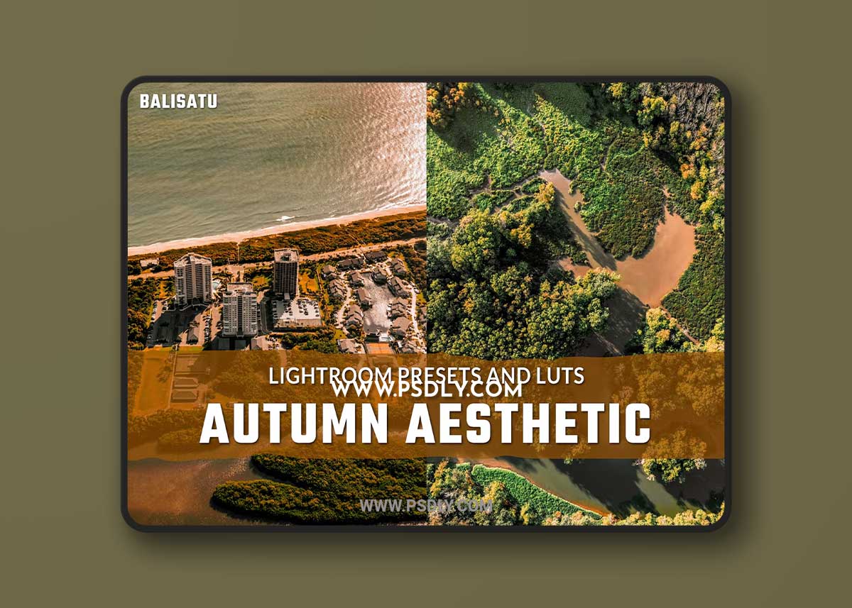 Autumn Aesthetic LUTs and Lightroom Presets 1 Autumn Aesthetic LUTs and Lightroom Presets