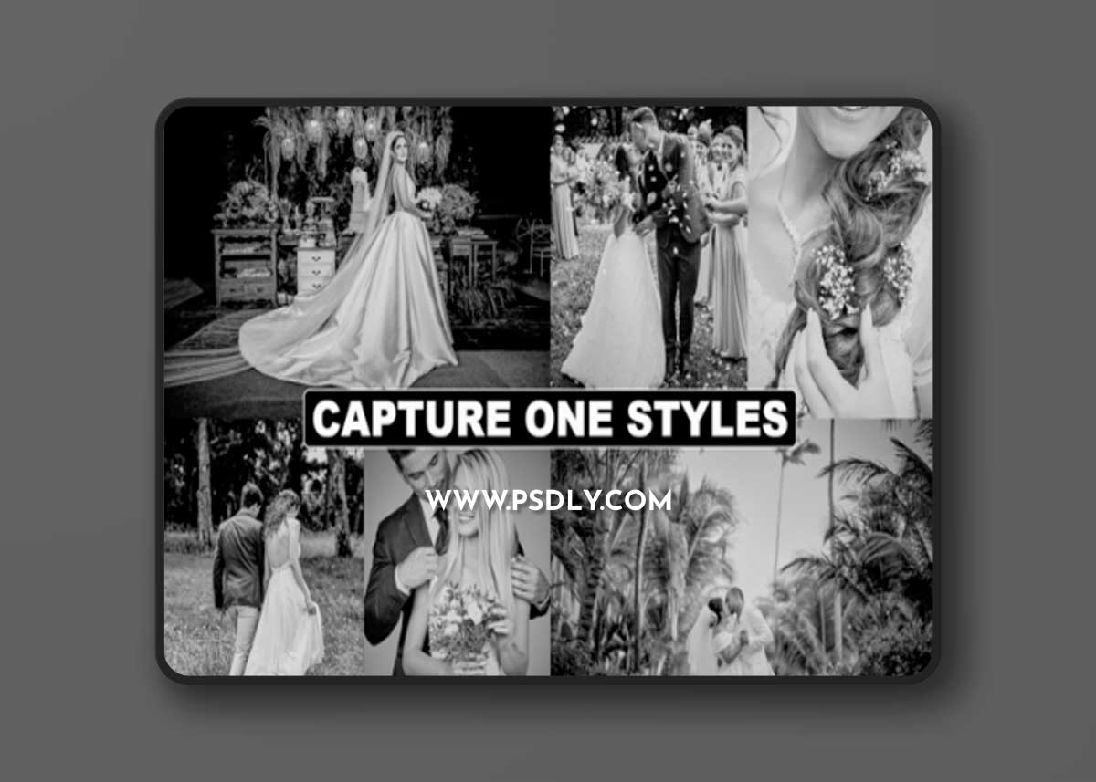 BW Tones Styles for Capture One 1 BW Tones Styles for Capture One