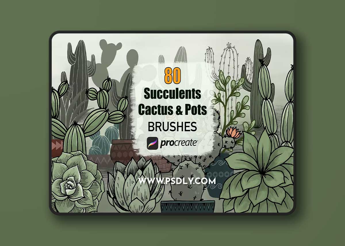 Cactus Succulents and Pots - Procreate Brushes 1 Cactus Succulents and Pots - Procreate Brushes
