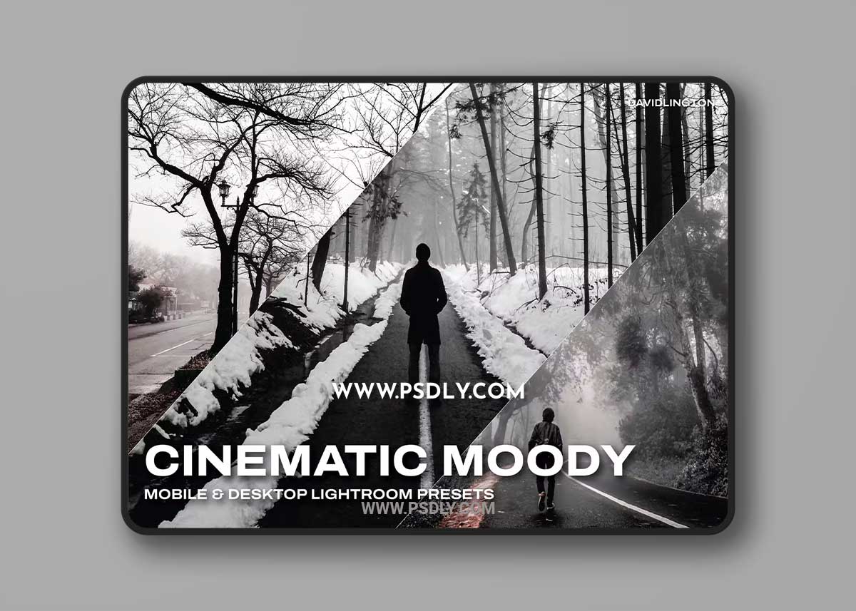 Cinematic Moody Lightroom Presets & LUTs 1 Cinematic Moody Lightroom Presets & LUTs