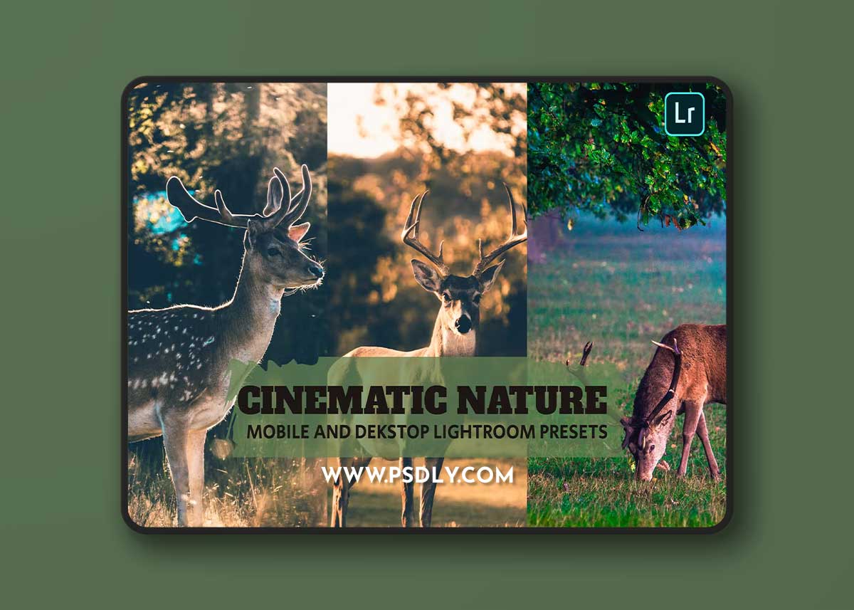 Cinematic Nature Lightroom Presets Dekstop Mobile 1 Cinematic Nature Lightroom Presets Dekstop Mobile