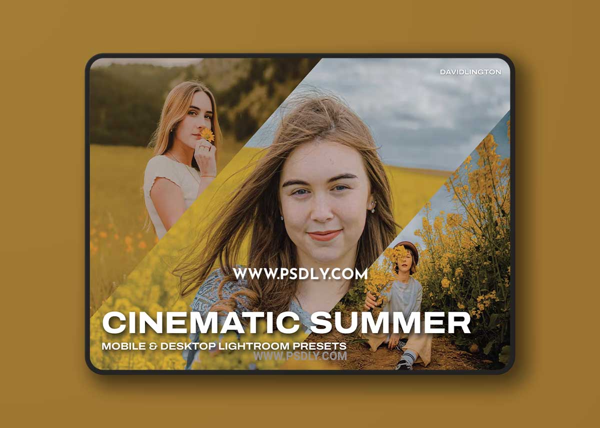 Cinematic Summer Lightroom Presets & LUTs 1 Cinematic Summer Lightroom Presets & LUTs