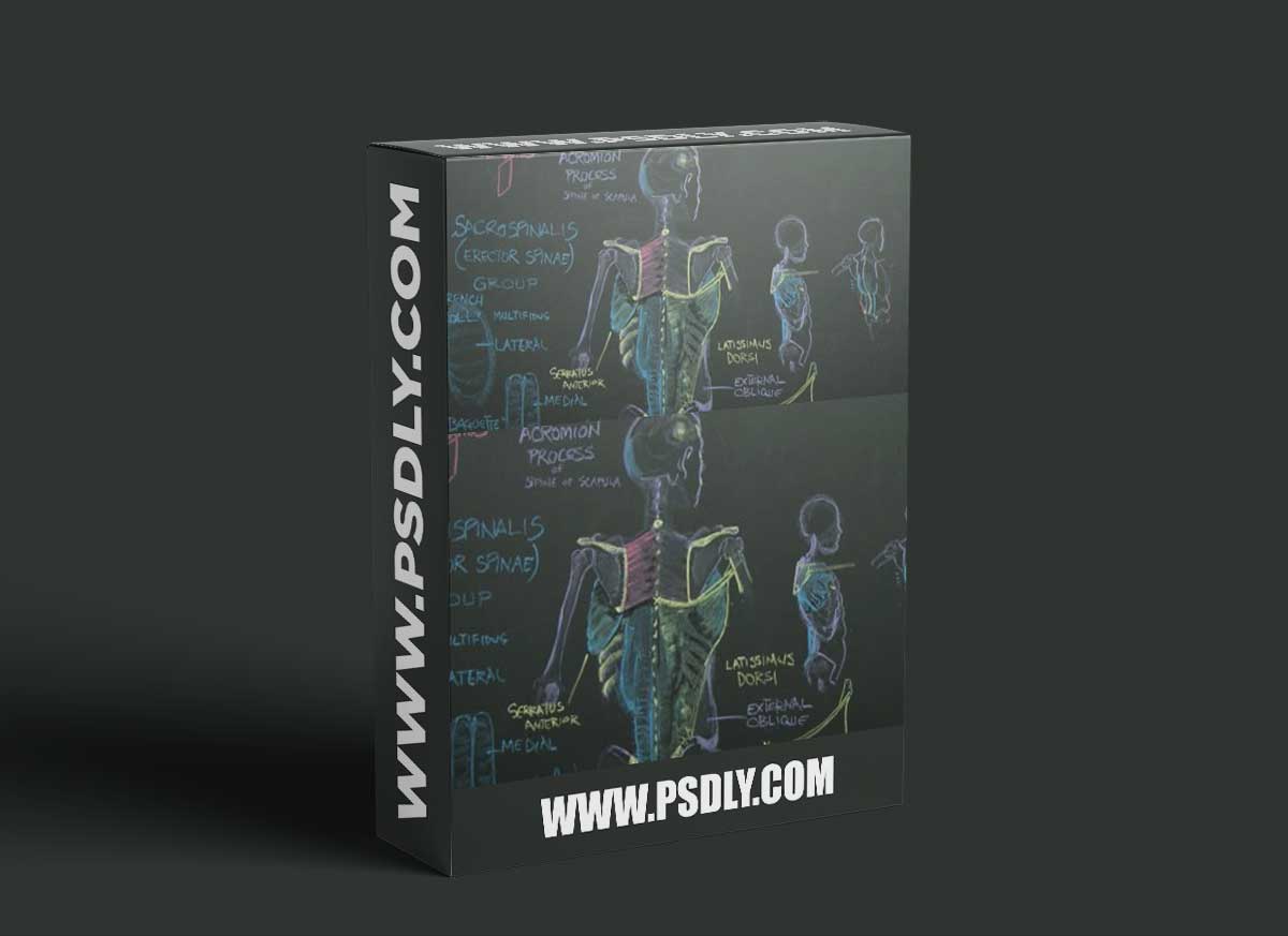 Complete Human Anatomy for Artists Live Class - January 2022 with Rey Bustos 1 Complete Human Anatomy for Artists Live Class - January 2022 with Rey Bustos