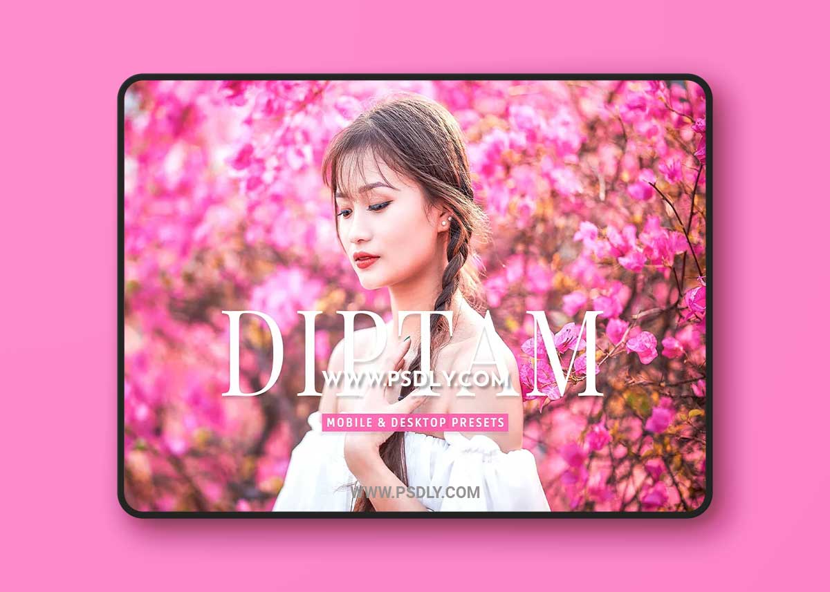 CreativeMarket - Diptam Pro Lightroom Presets 7178684 1 CreativeMarket - Diptam Pro Lightroom Presets 7178684