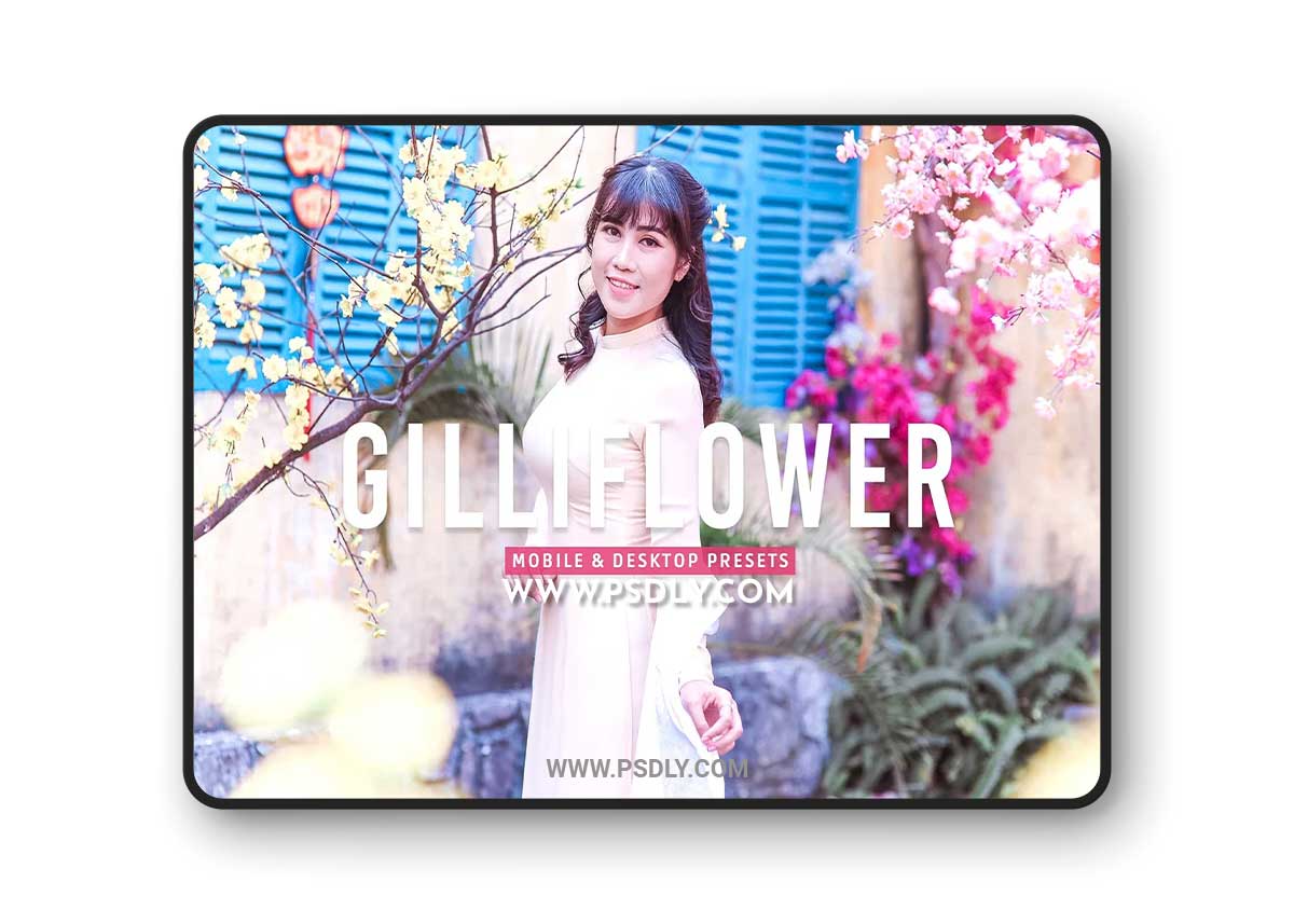 CreativeMarket - Gilliflower Pro Lightroom Presets 7178687 1 CreativeMarket - Gilliflower Pro Lightroom Presets 7178687