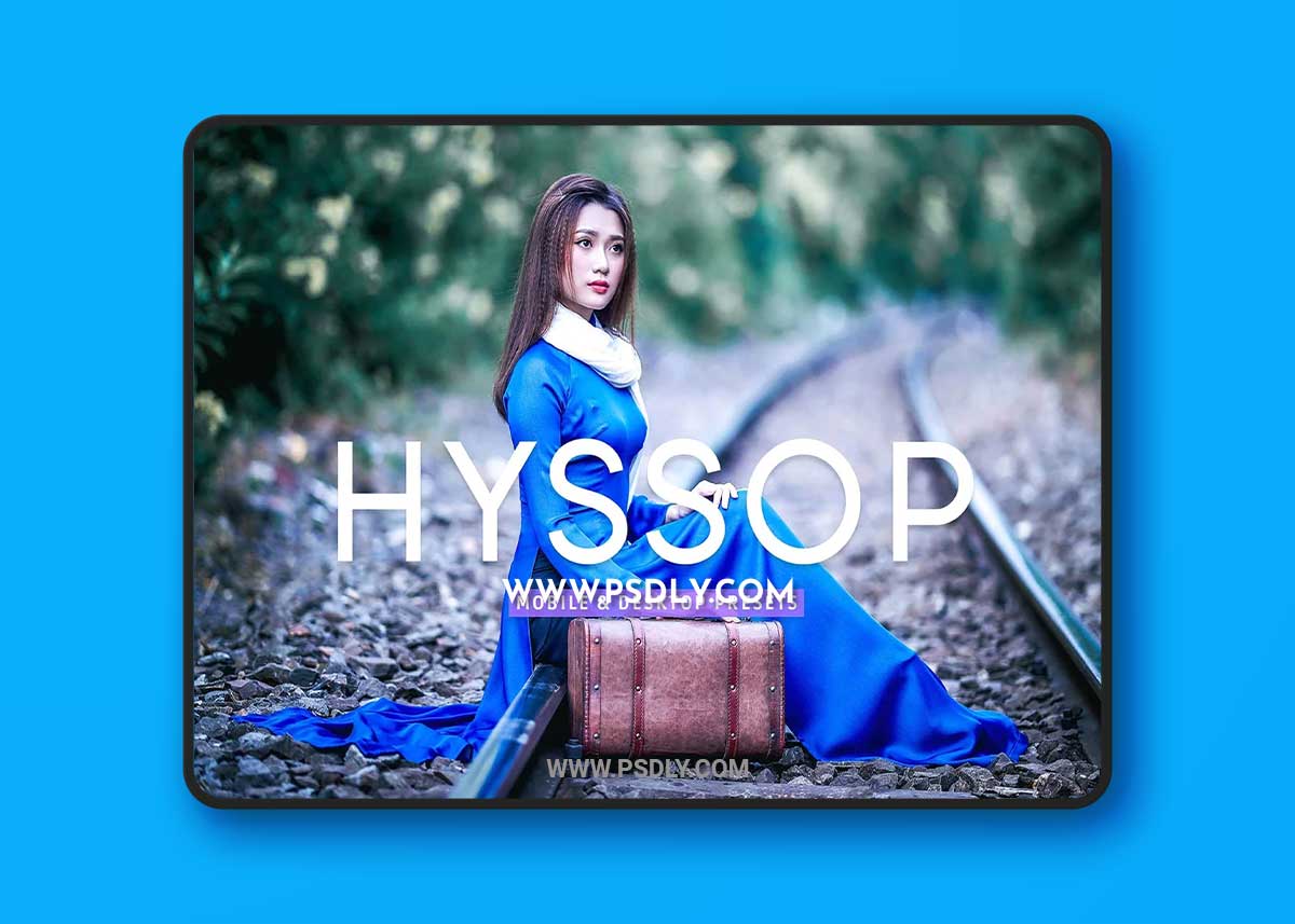 CreativeMarket - Hyssop Pro Lightroom Presets 7193785 1 CreativeMarket - Hyssop Pro Lightroom Presets 7193785