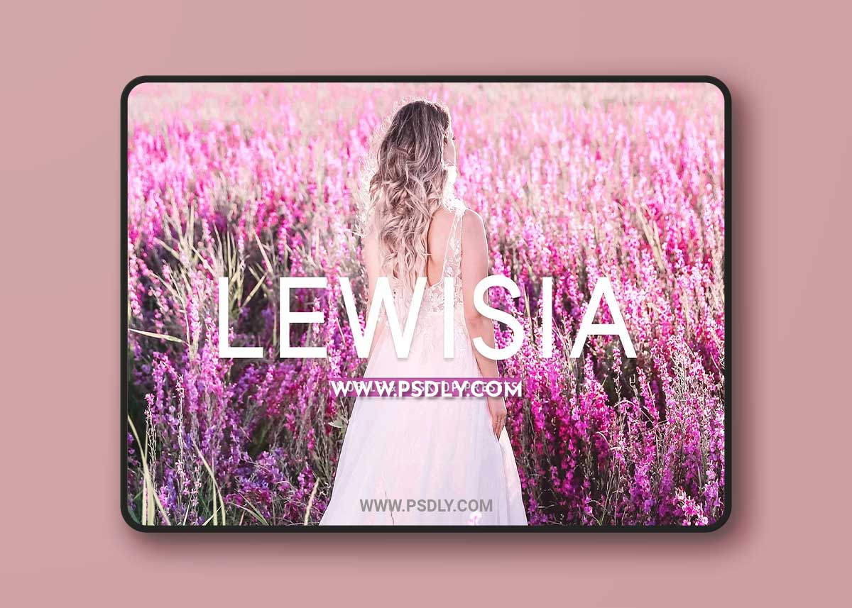 CreativeMarket - Lewisia Pro Lightroom Presets 7193786 1 CreativeMarket - Lewisia Pro Lightroom Presets 7193786