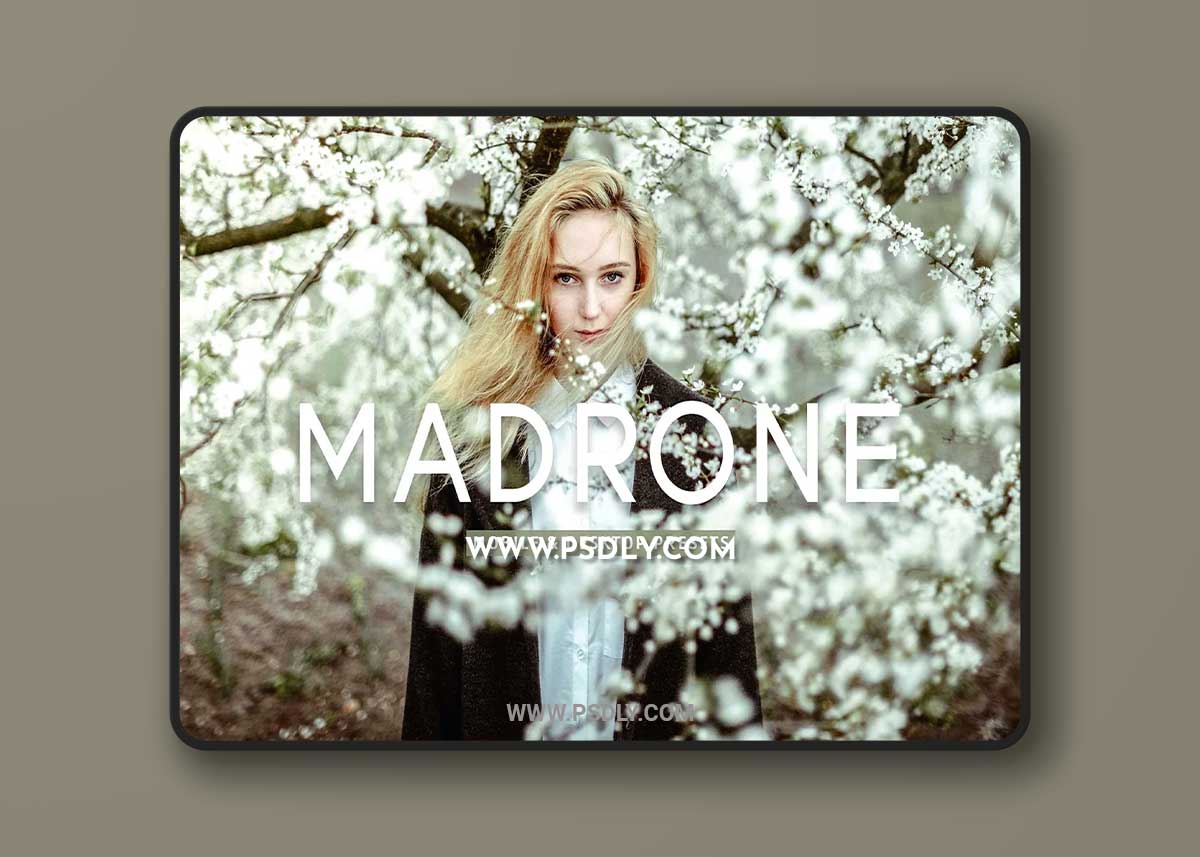 CreativeMarket - Madrone Pro Lightroom Presets 7193788 1 CreativeMarket - Madrone Pro Lightroom Presets 7193788