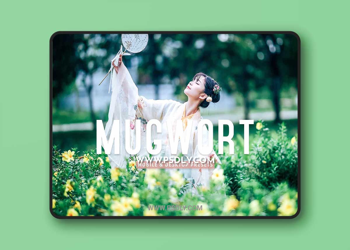 CreativeMarket - Mugwort Pro Lightroom Presets 7193789 1 CreativeMarket - Mugwort Pro Lightroom Presets 7193789