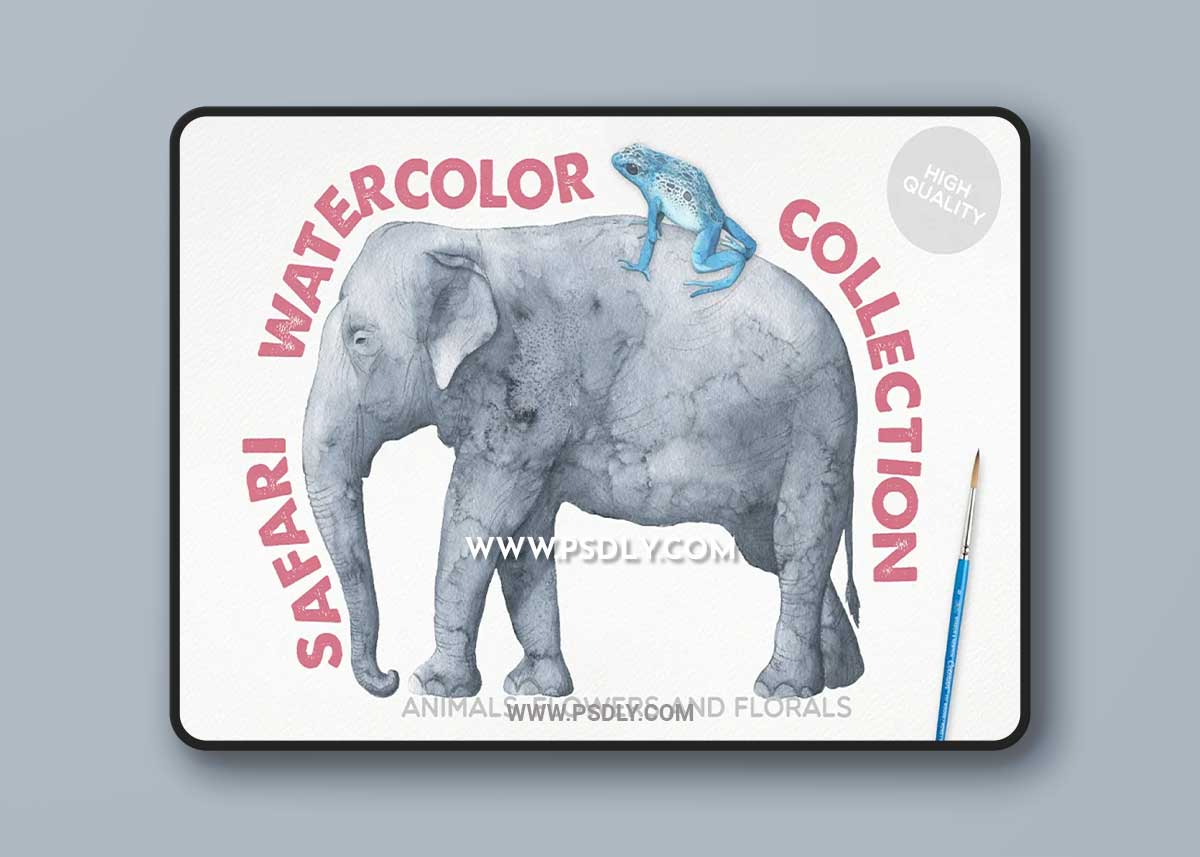 CreativeMarket - Safari Watercolor Collection 6763330 1 CreativeMarket - Safari Watercolor Collection 6763330