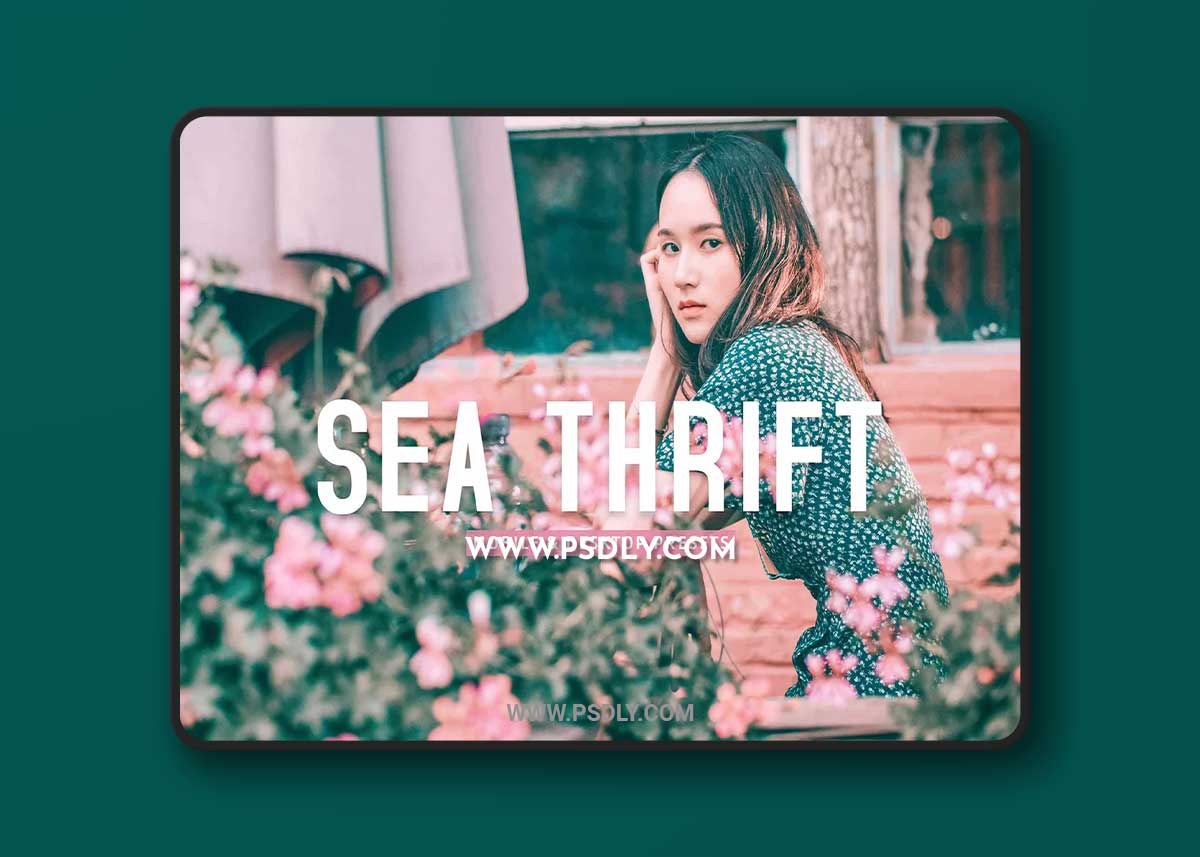 CreativeMarket - Sea Thrift Pro Lightroom Presets 7193792 1 CreativeMarket - Sea Thrift Pro Lightroom Presets 7193792