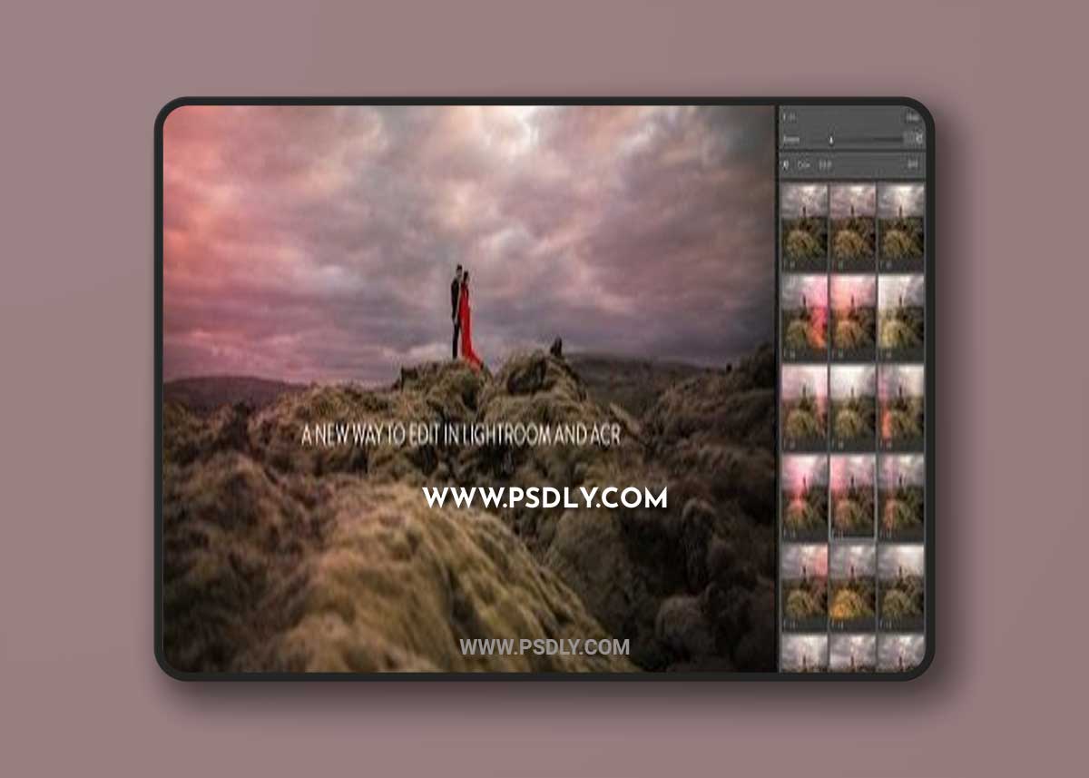 DVLOP - Tweaks and Leaks Presets 1 DVLOP - Tweaks and Leaks Presets