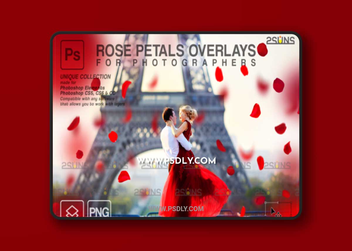 Falling Rose Petals 1 Falling Rose Petals