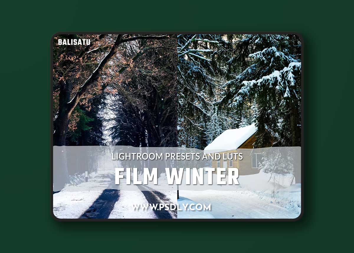 Film Winter LUTs and Lightroom Presets LUYTJU6 1 Film Winter LUTs and Lightroom Presets LUYTJU6