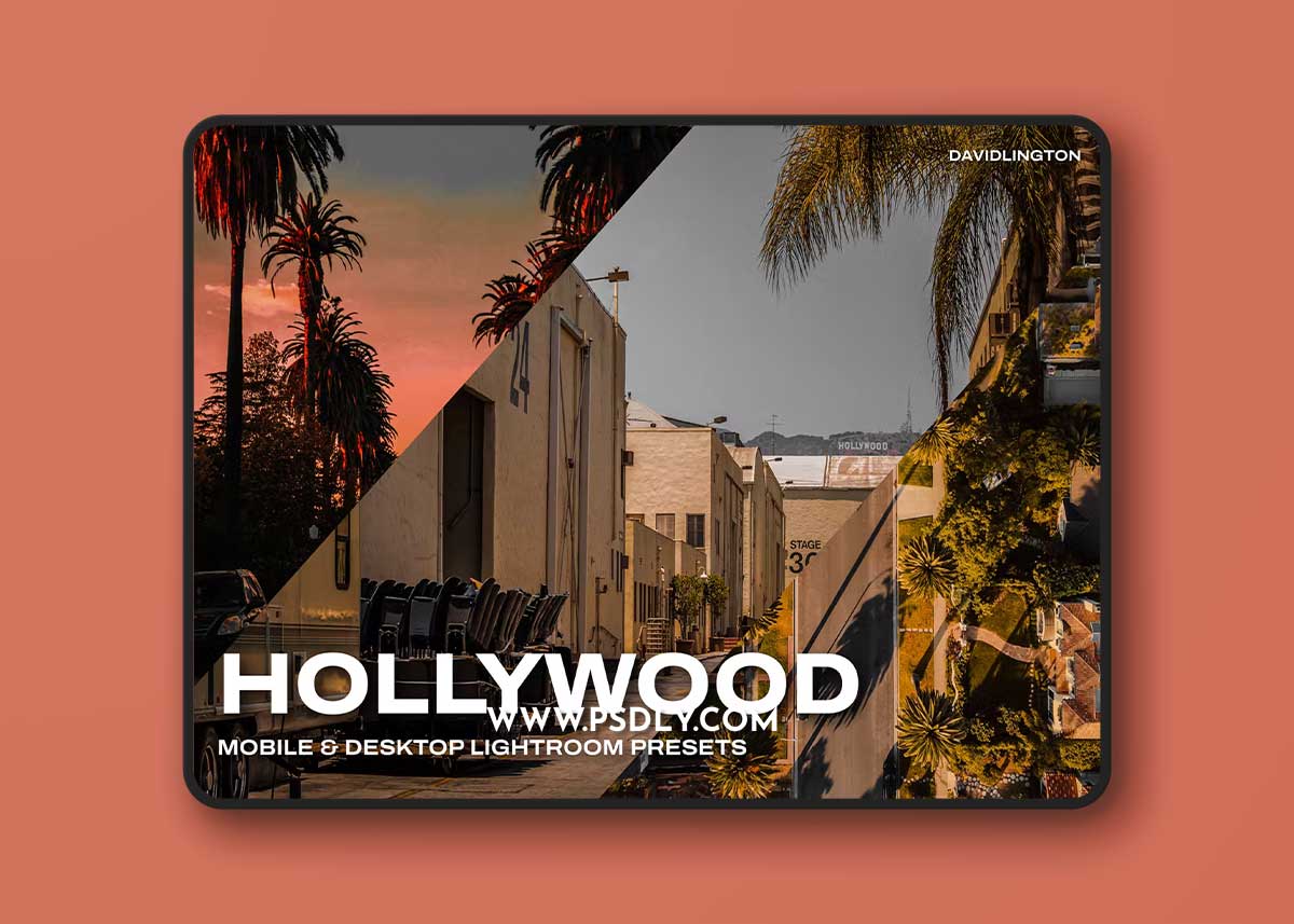 Hollywood Lightroom Presets & LUTs 1 Hollywood Lightroom Presets & LUTs