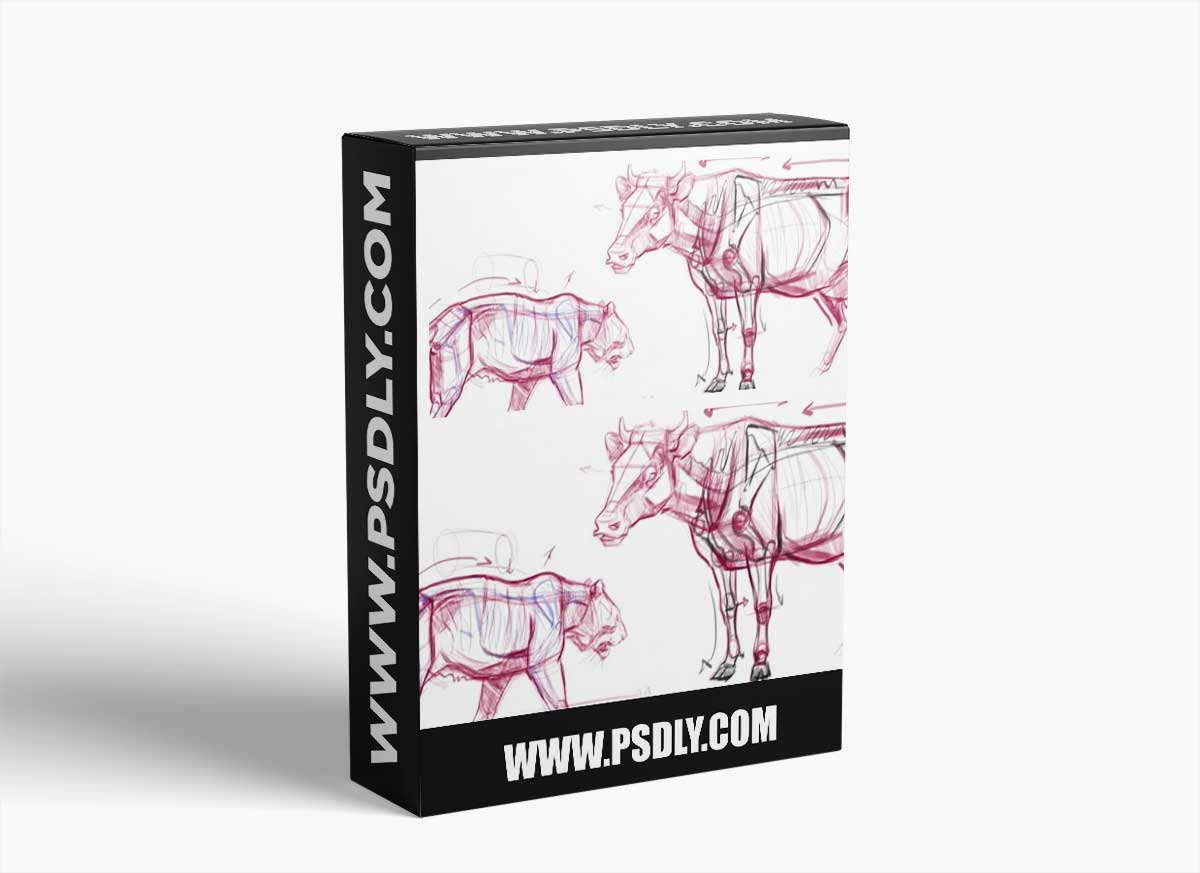 Introduction to Animal Anatomy Live Class - January 2022 with Joe Weatherly 1 Introduction to Animal Anatomy Live Class - January 2022 with Joe Weatherly