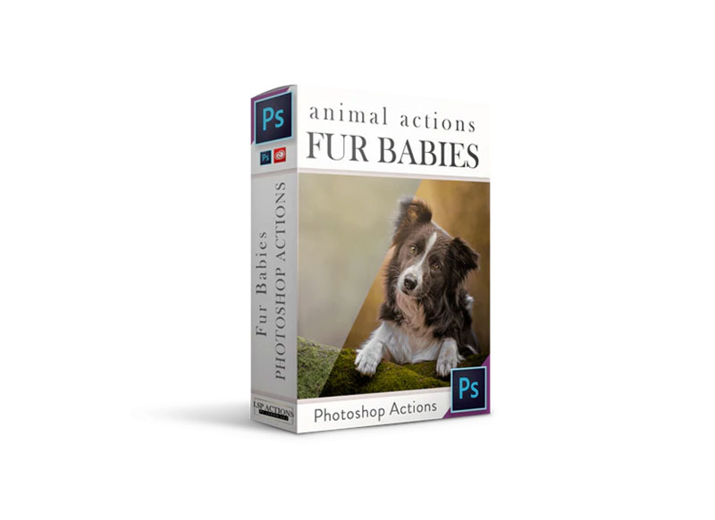LSP Actions - Fur Babies Photoshop Actions Suite for dogs and other animals 1 LSP Actions - Fur Babies Photoshop Actions