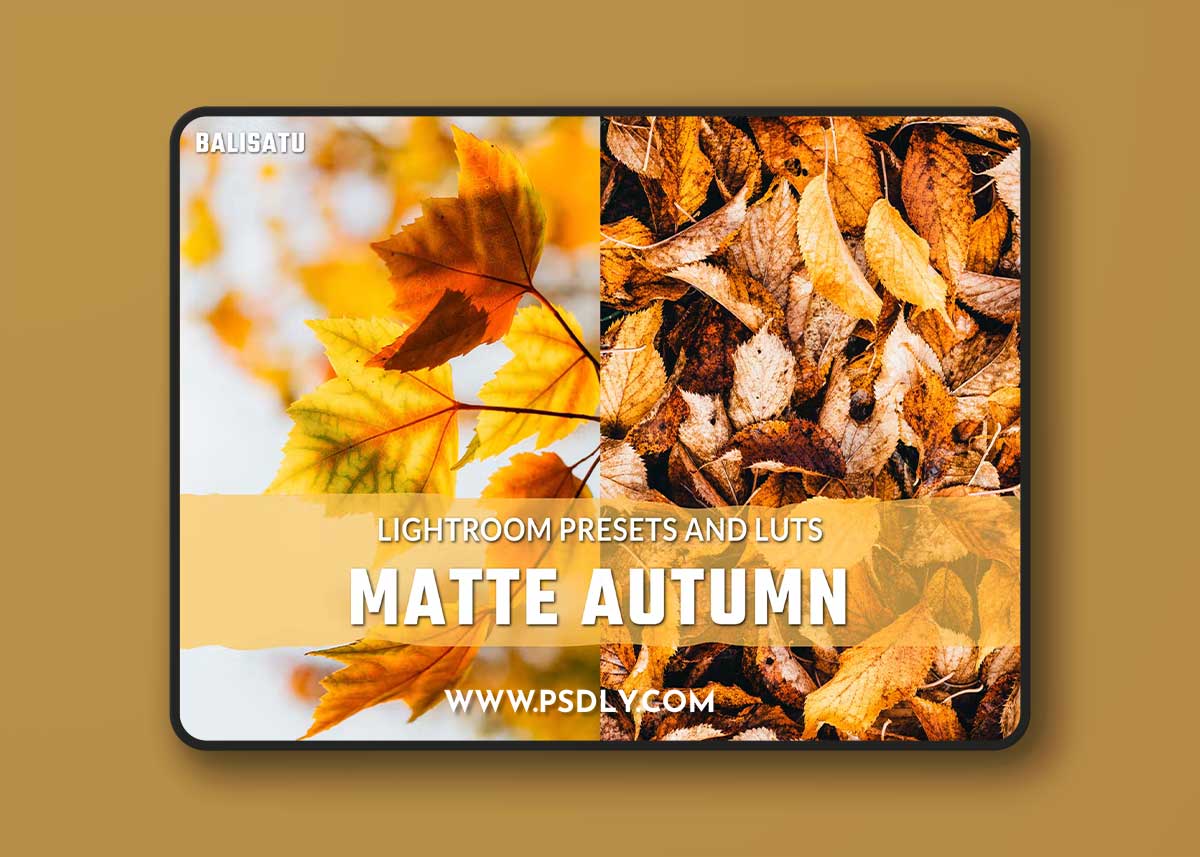 Matte Autumn LUTs and Lightroom Presets WVKGW55 1 Matte Autumn LUTs and Lightroom Presets WVKGW55
