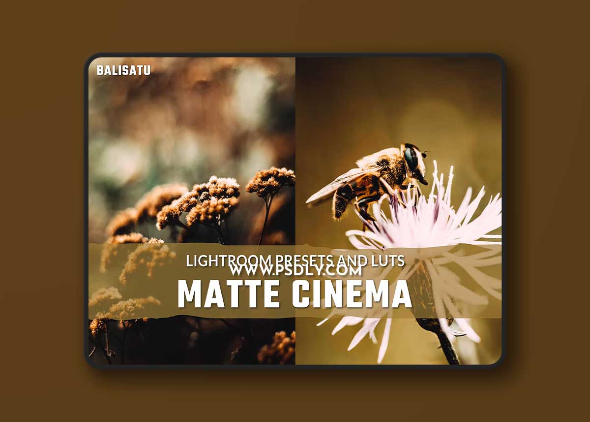 Matte Cinema LUTs and Lightroom Presets 3AD26AA 1 Matte Cinema LUTs and Lightroom Presets 3AD26AA
