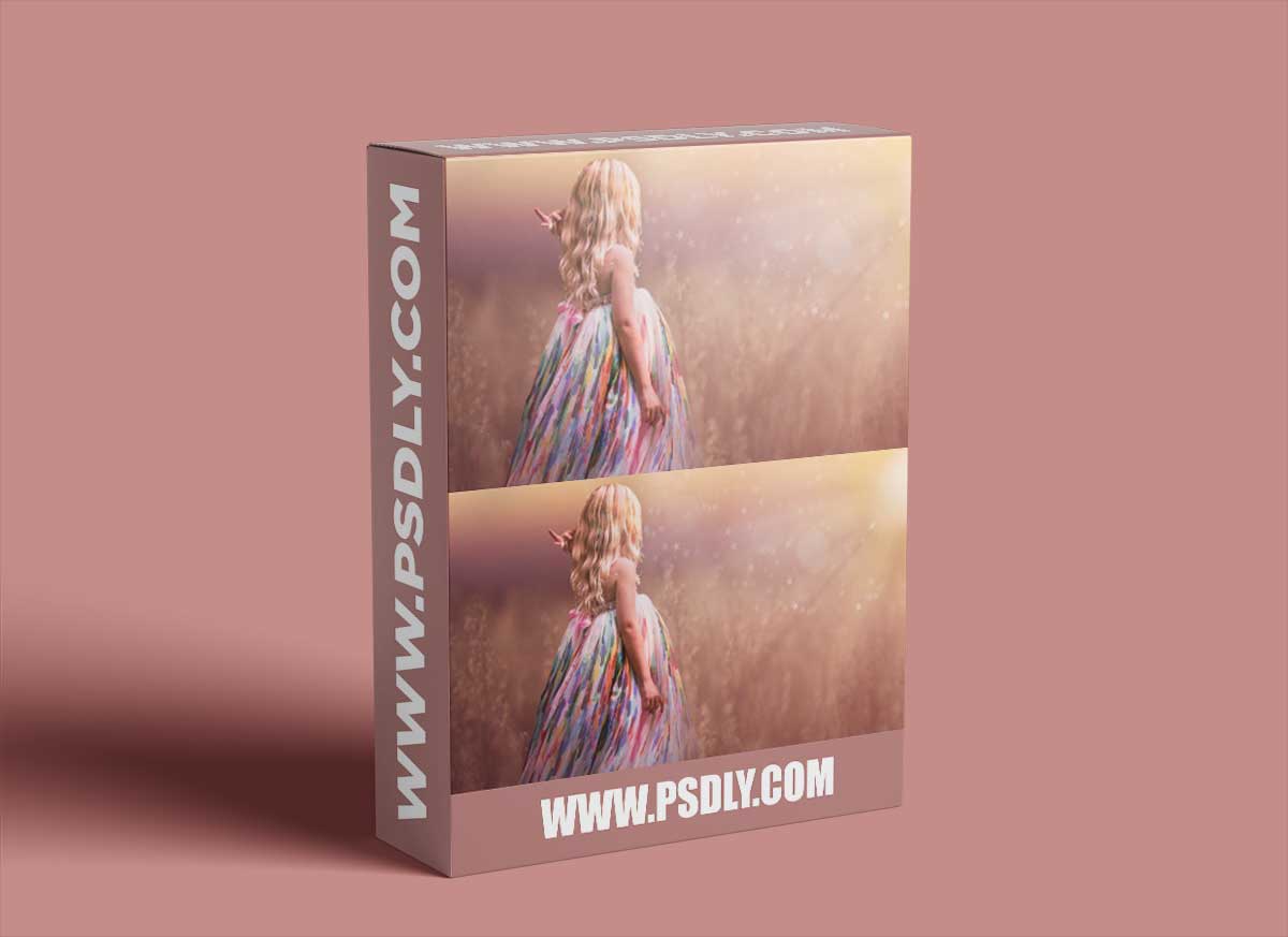 Meg Bitton - Dream Scene – The Wheat Field 1 Meg Bitton - Dream Scene – The Wheat Field