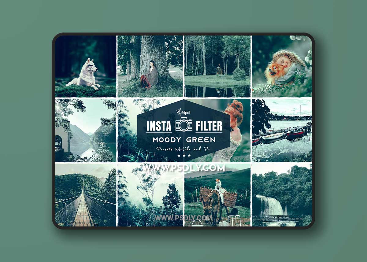 Moody Green Cinematic Lightroom Presets U8J35YA 1 Moody Green Cinematic Lightroom Presets U8J35YA