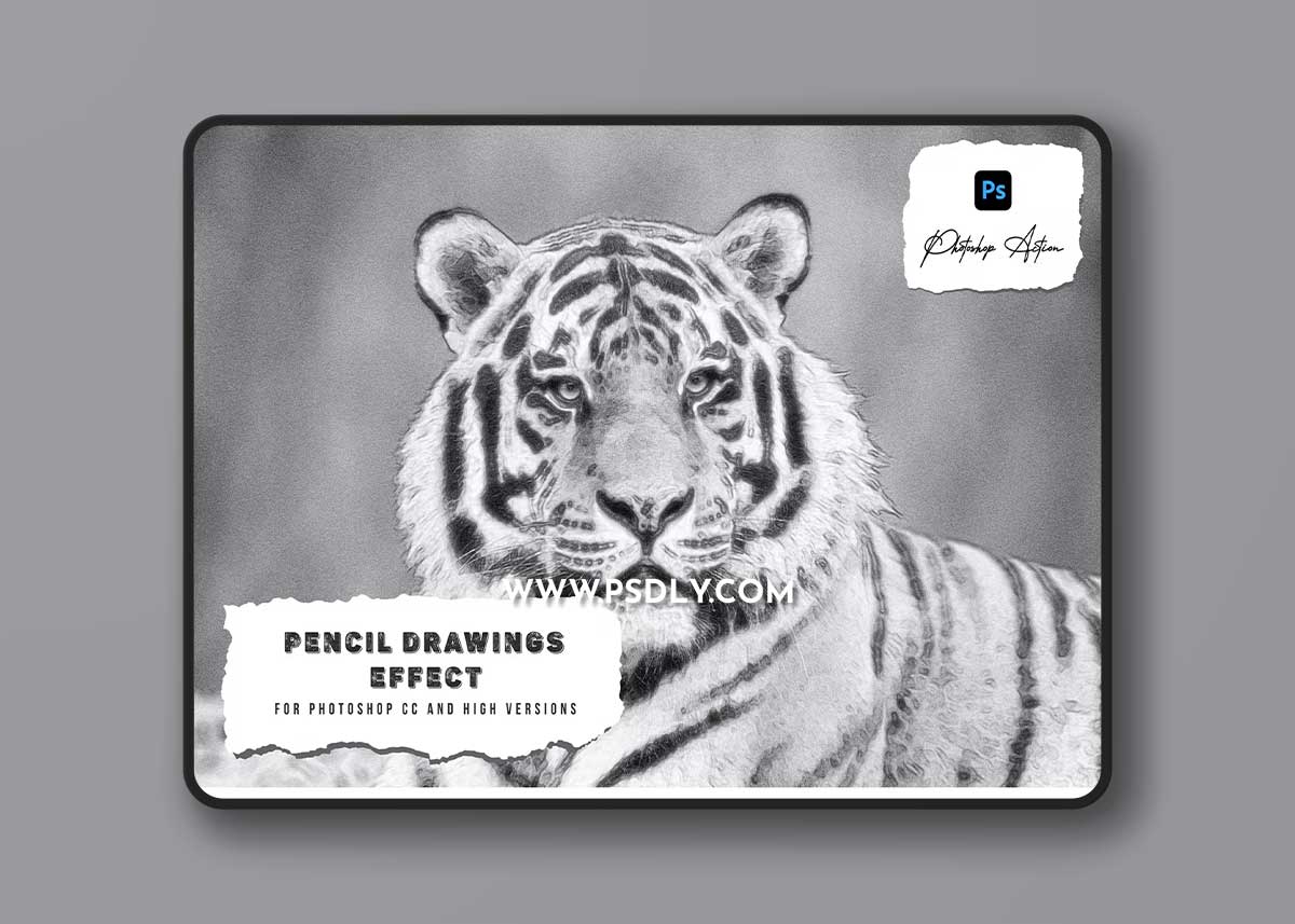 Pencil Drawings Effect Photoshop Action 1 Pencil Drawings Effect Photoshop Action