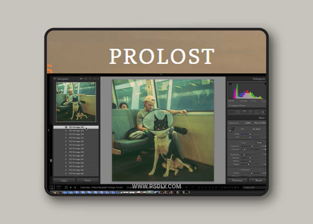 ProLost Vintage Preset 1 ProLost Vintage Preset